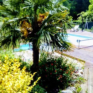 De Barnas